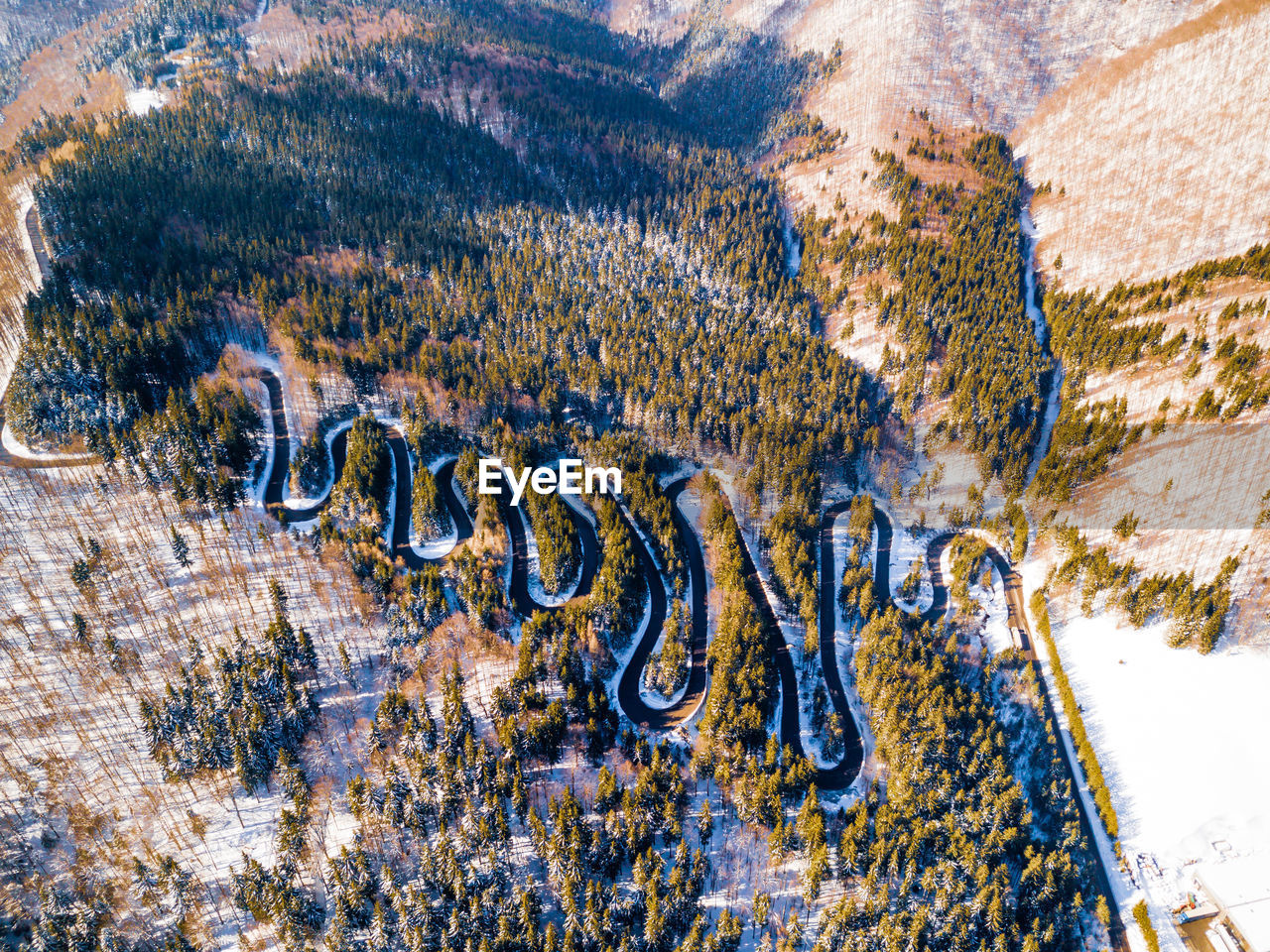 HIGH ANGLE VIEW OF AN ANIMAL ON LANDSCAPE