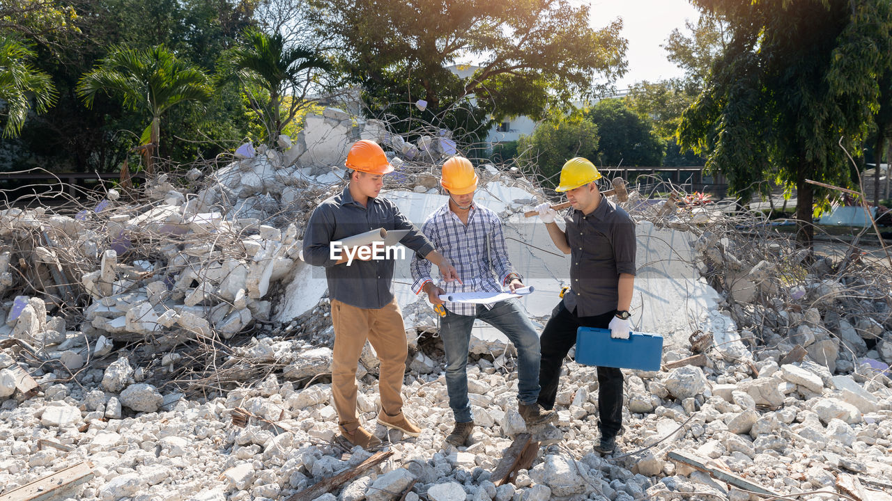 PEOPLE WORKING ON ROCK WITH TREES