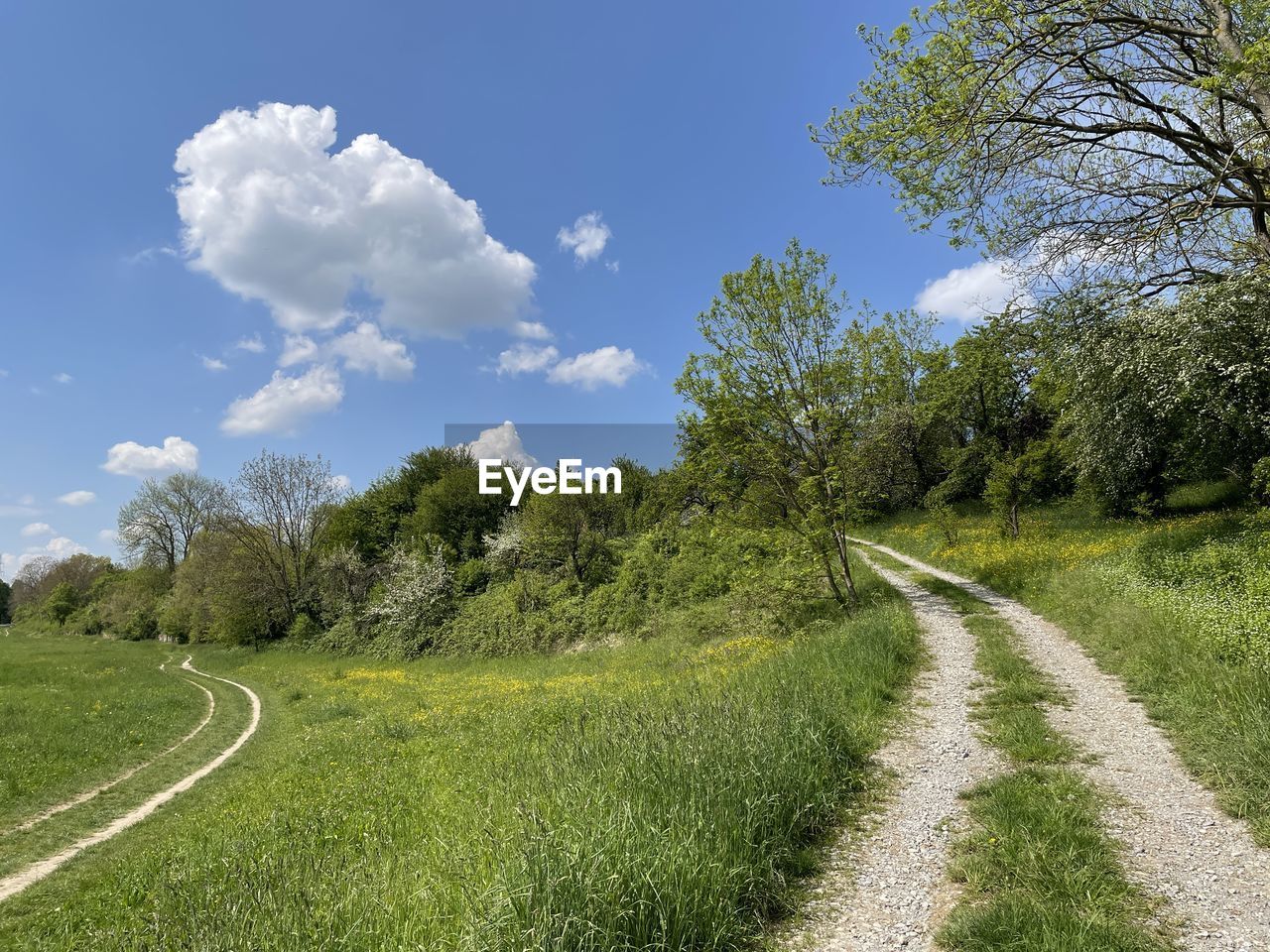 plant, grass, sky, tree, meadow, road, the way forward, cloud, nature, rural area, landscape, environment, green, field, footpath, land, beauty in nature, no people, tranquility, transportation, hill, scenics - nature, grassland, day, diminishing perspective, tranquil scene, growth, dirt road, non-urban scene, outdoors, pasture, blue, vanishing point, rural scene, dirt, prairie, sunlight, travel, single lane road, summer, natural environment, country road, empty road, travel destinations, idyllic