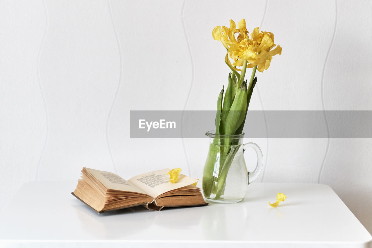 CLOSE-UP OF POTTED PLANT IN VASE ON TABLE