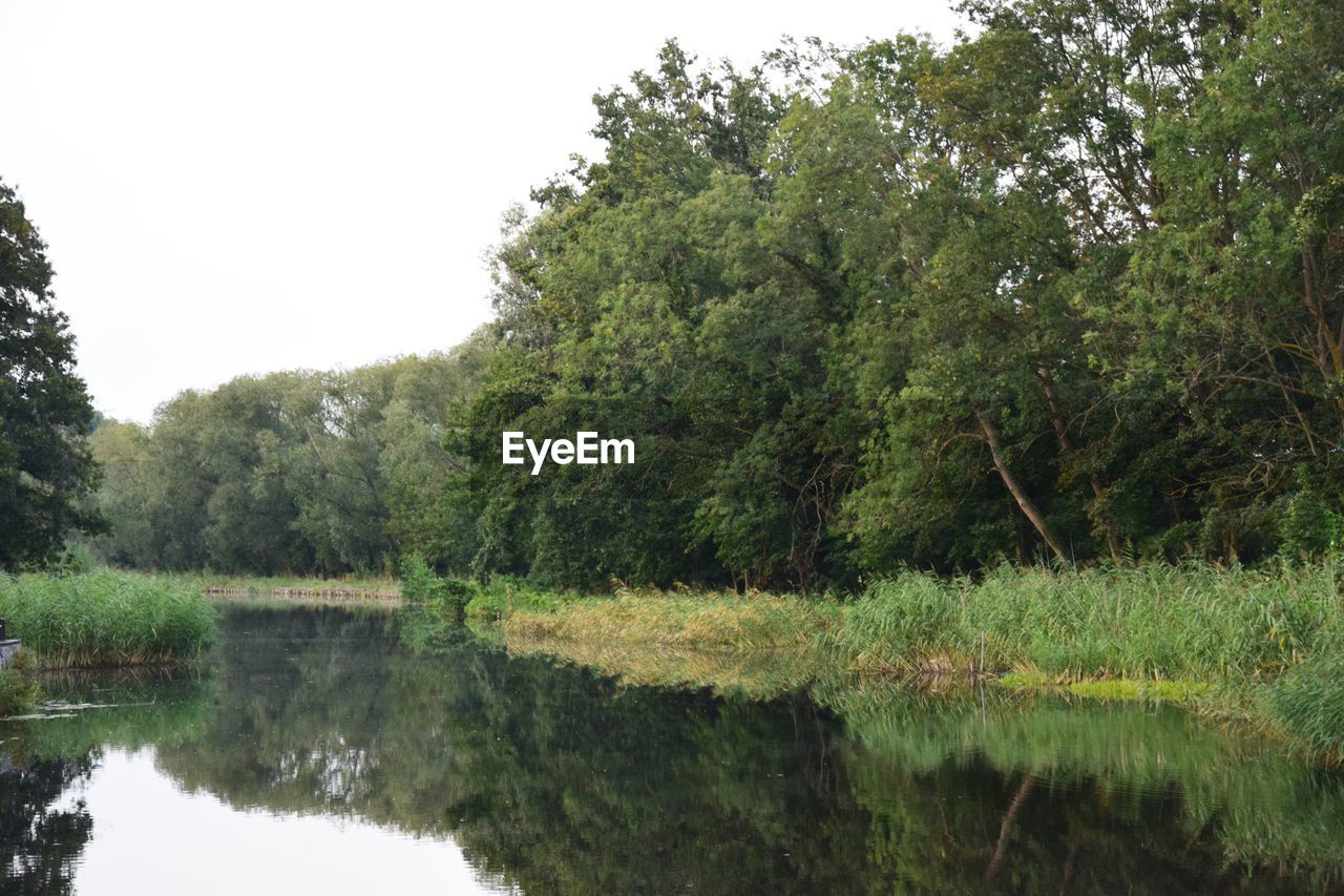 SCENIC VIEW OF LAKE AMIDST TREES AGAINST SKY