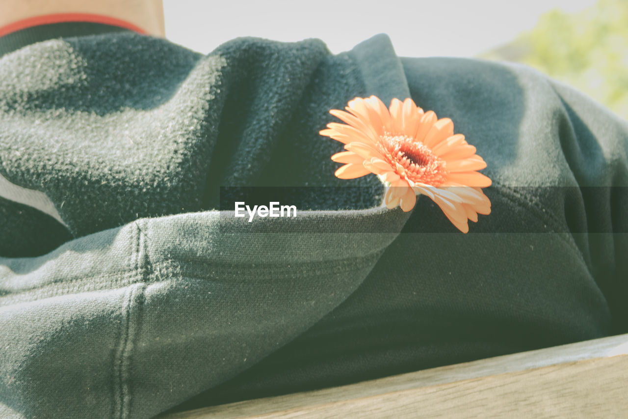 Midsection of man wearing hooded shirt with gerbera daisy