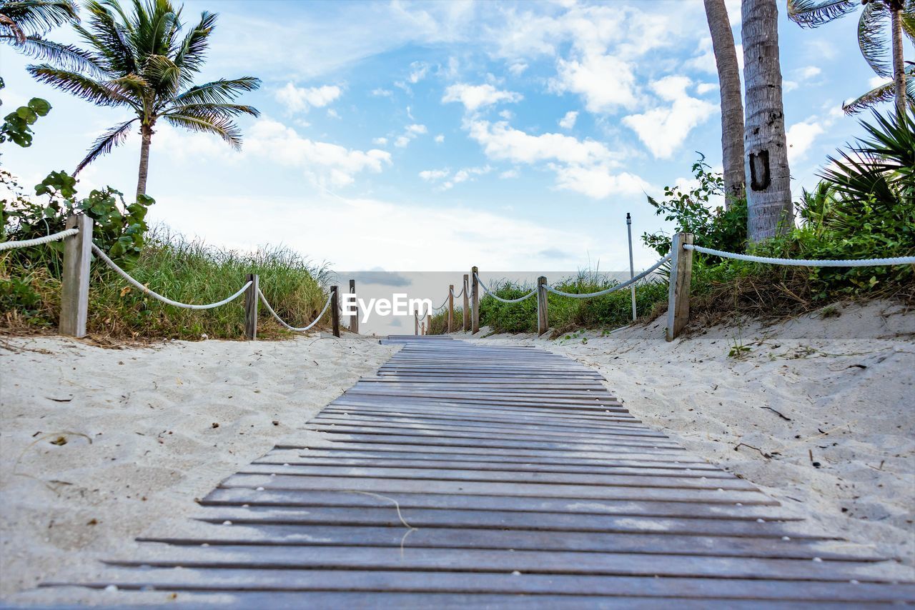 Footpath leading towards palm trees on beach against blue sky and clouds