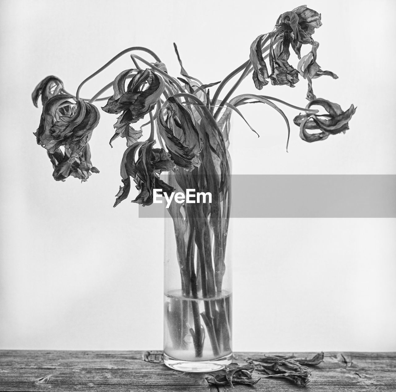 Close-up of drinking glass on table against wall