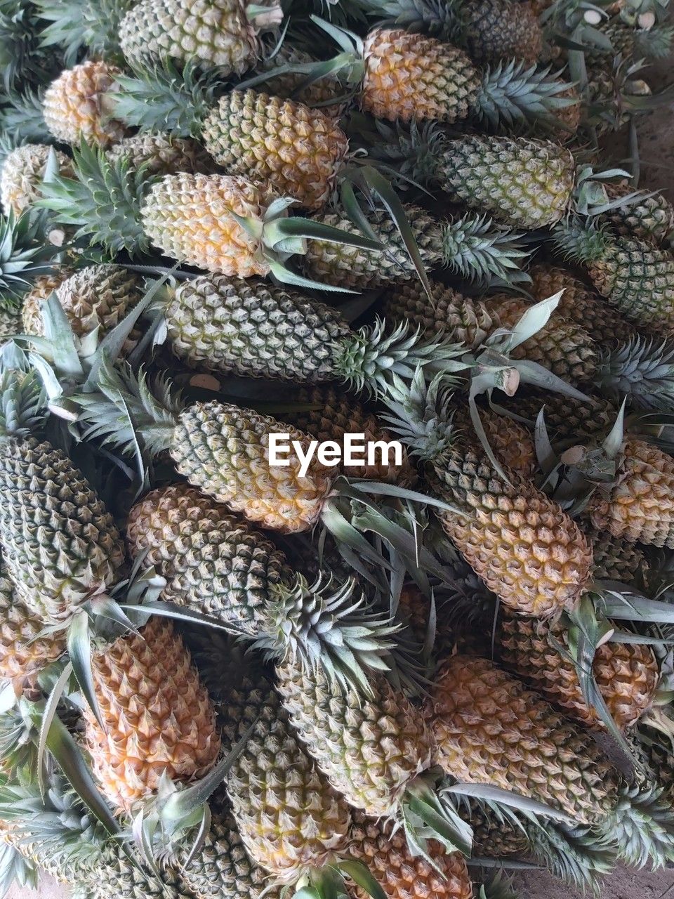 pineapple, food and drink, food, no people, conifer cone, plant, ananas, large group of objects, healthy eating, produce, high angle view, freshness, day, wellbeing, full frame, abundance, backgrounds, fruit, for sale, market, retail, nature, outdoors, tropical fruit, cactus, succulent plant, close-up