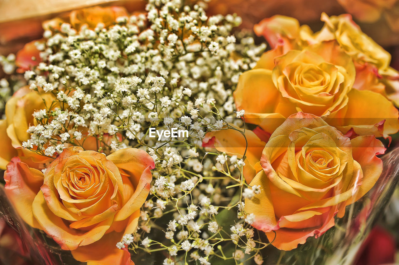 Close-up of rose bouquet