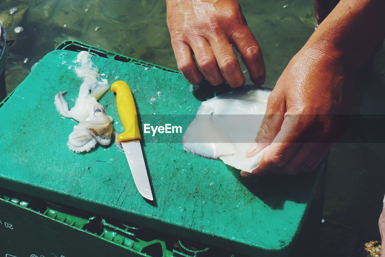 Fisherman holding fish against sea