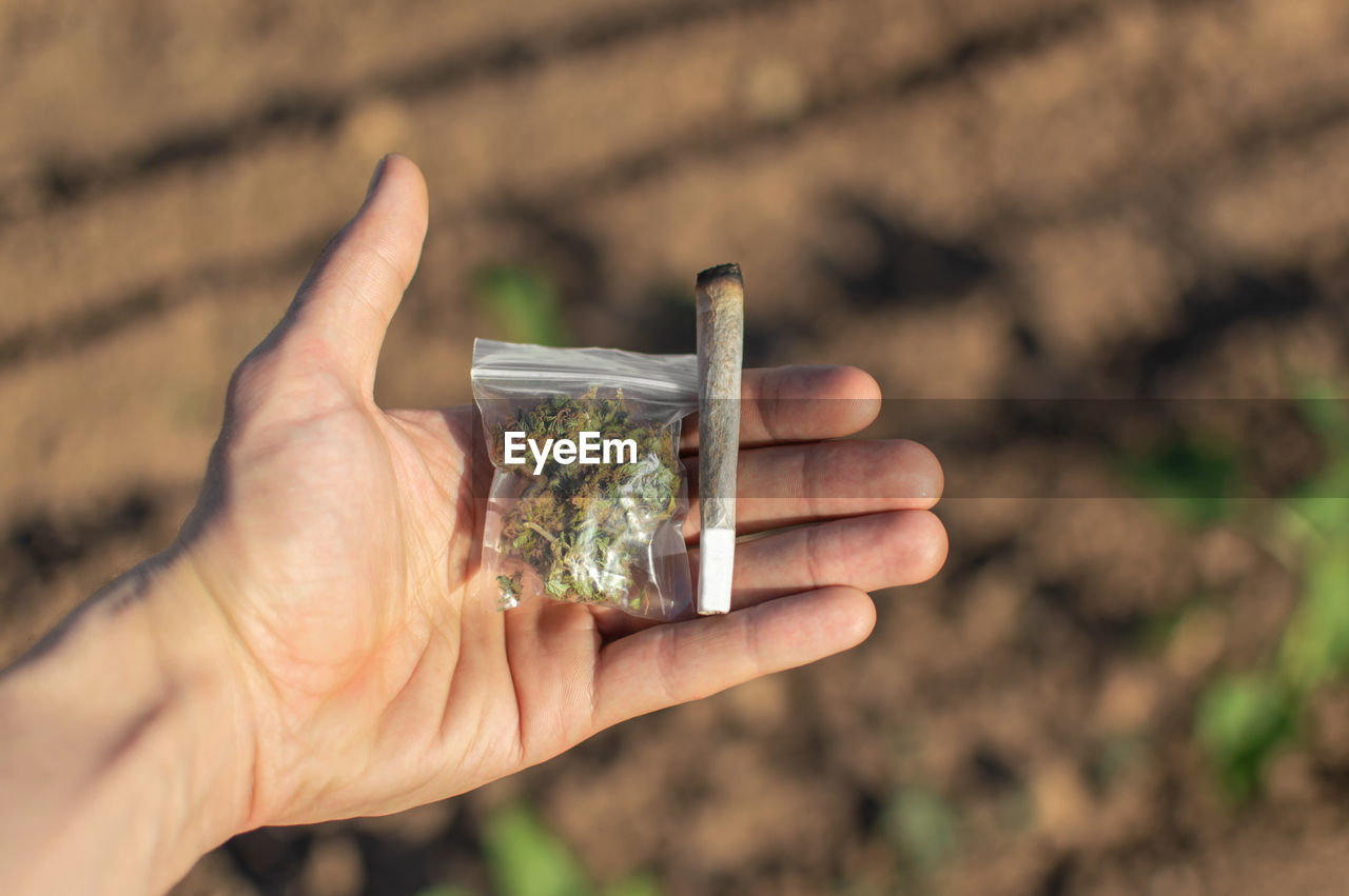 Cropped hand of person holding marijuana