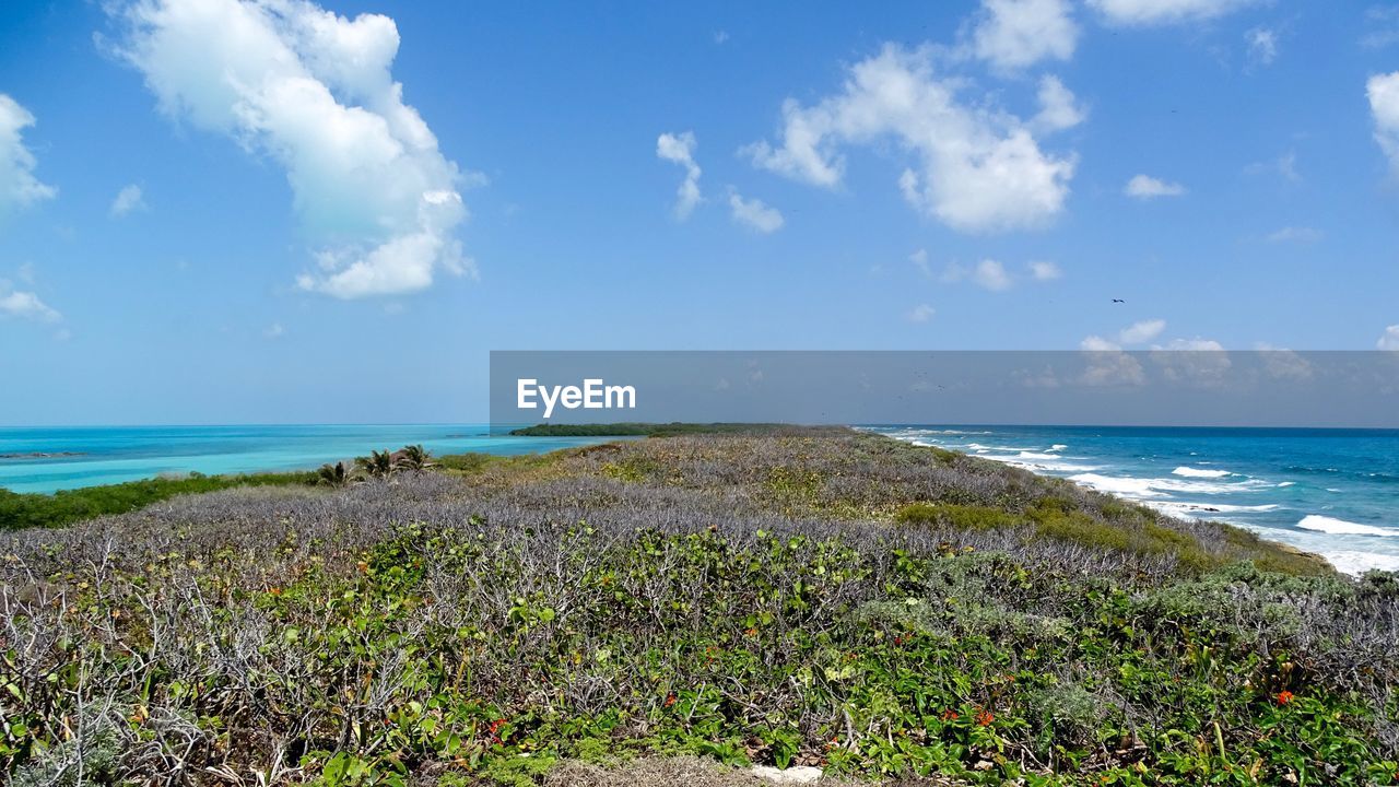 Scenic view of sea against blue sky