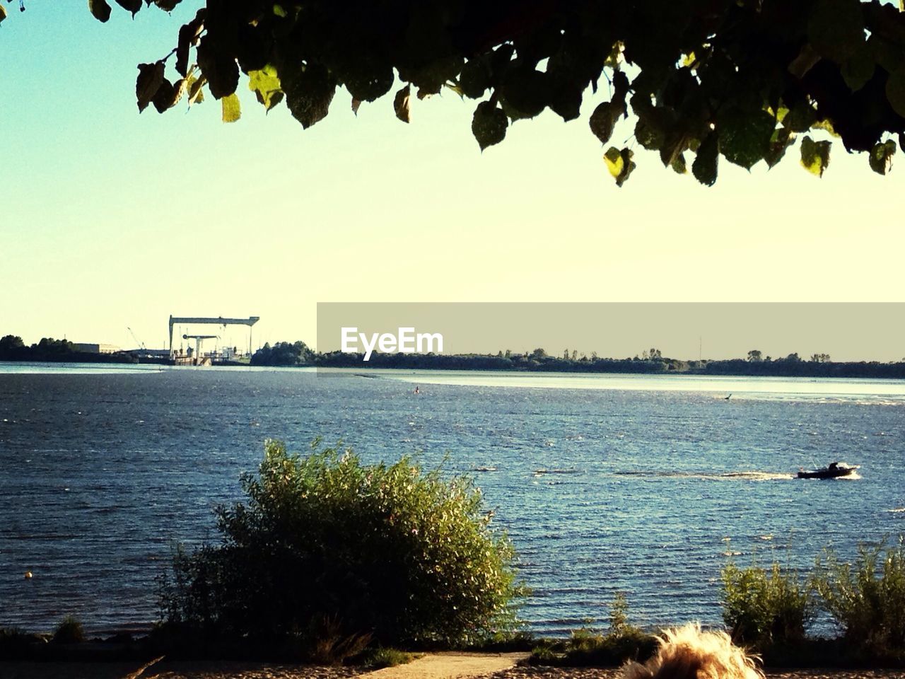 VIEW OF RIVER WITH TREES IN BACKGROUND