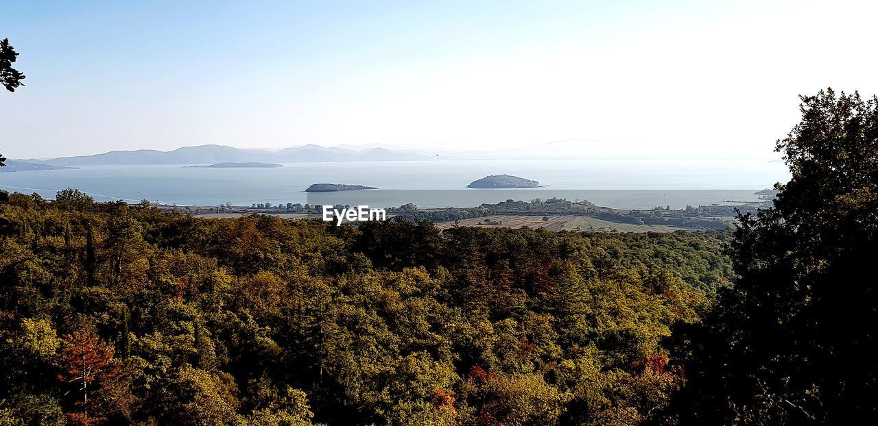 SCENIC VIEW OF PLANTS BY MOUNTAINS AGAINST SKY