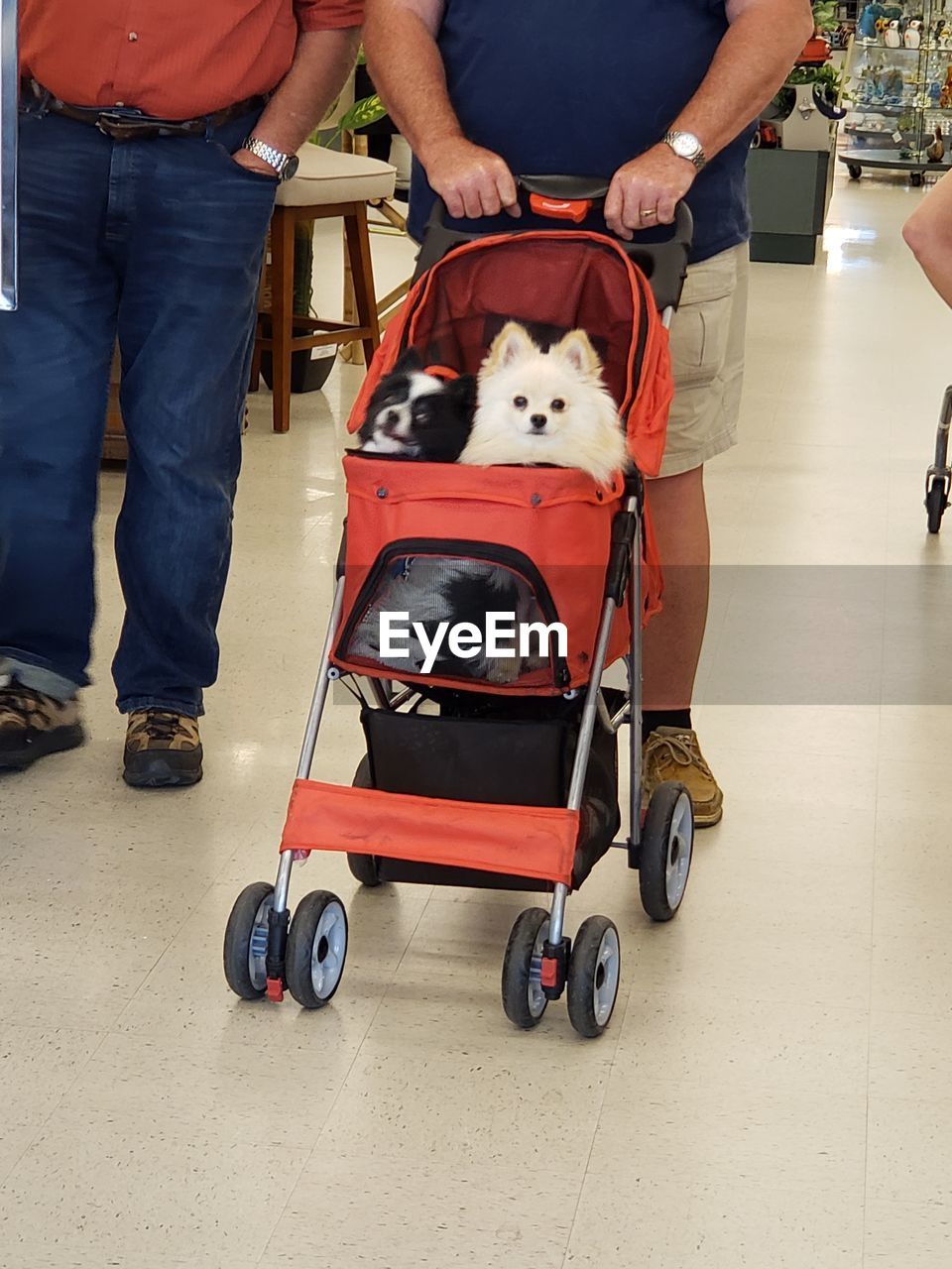 LOW SECTION OF MEN WITH DOG ON STREET