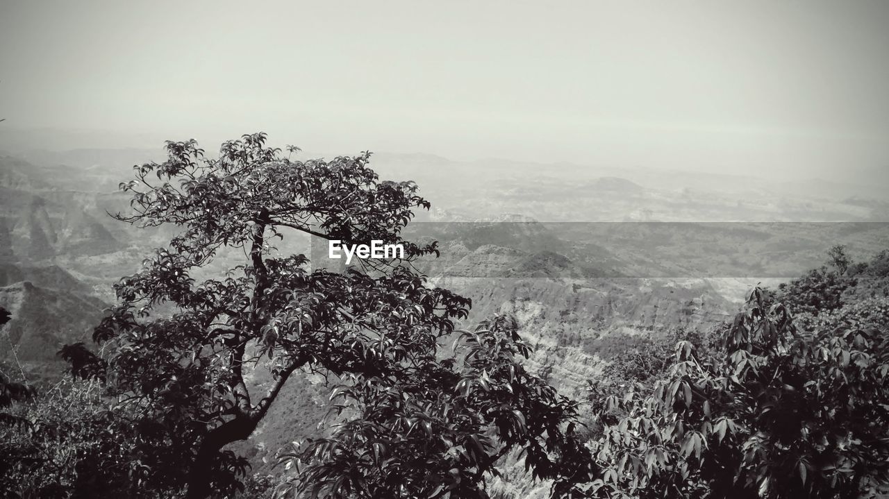 Scenic view of mountains with trees on foreground