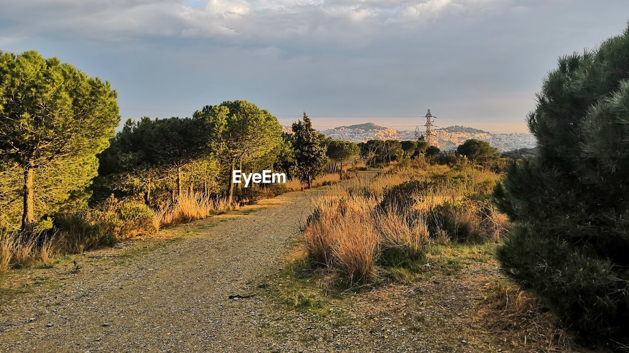 PANORAMIC VIEW OF ROAD AGAINST SKY