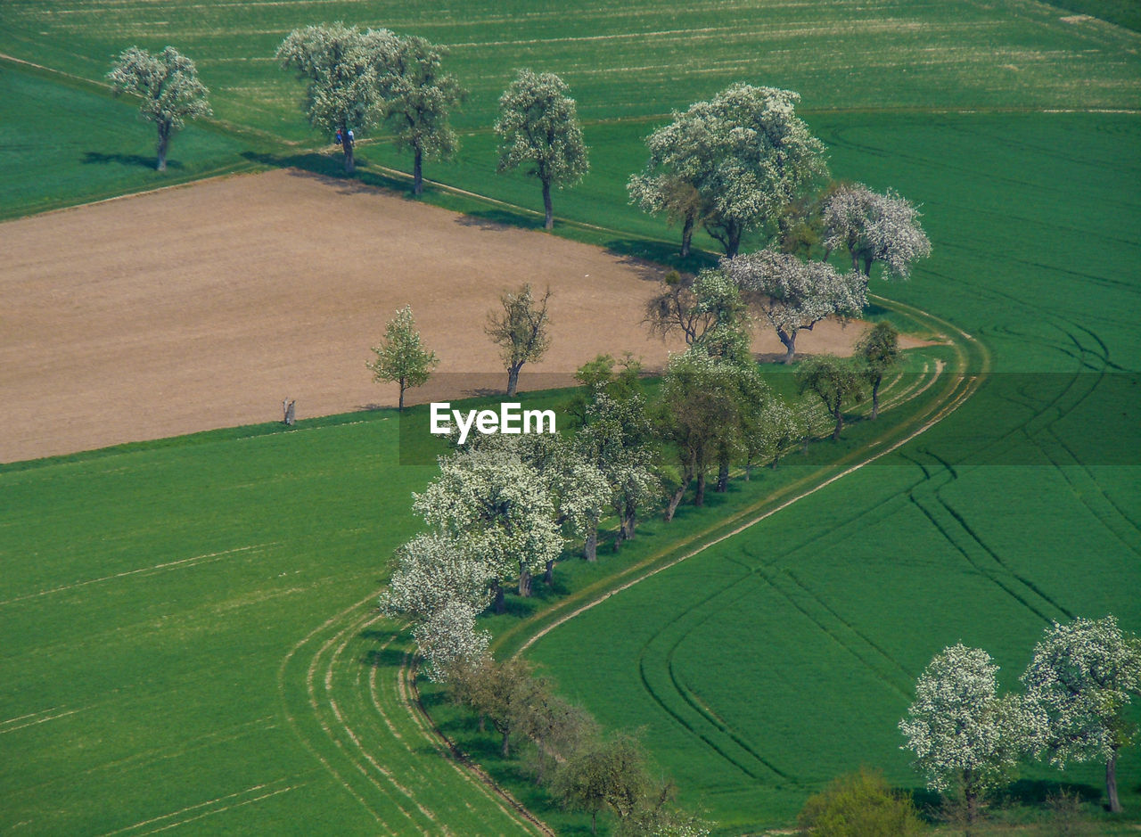 High angle view of agricultural field