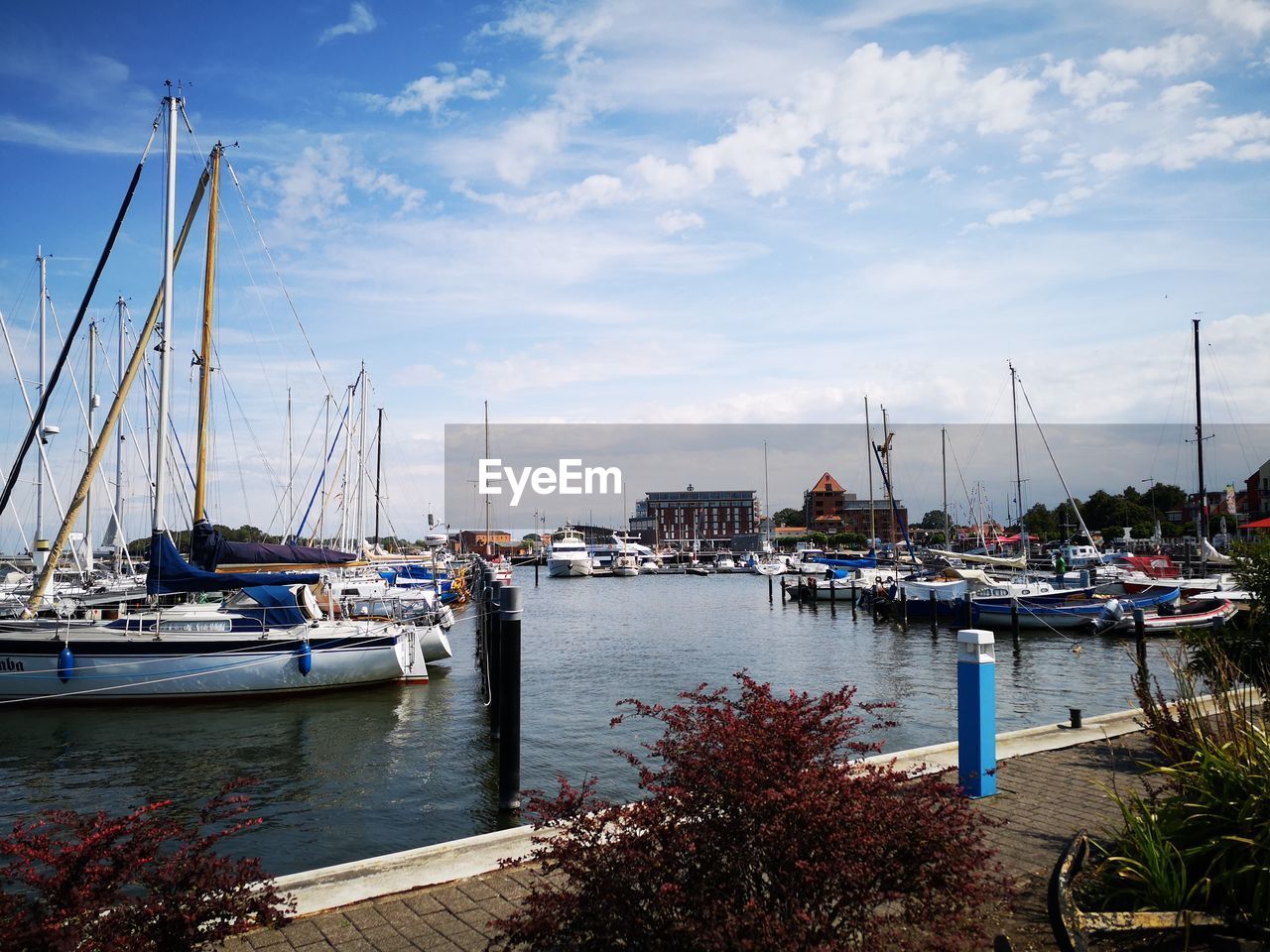 Sailboats moored in harbor