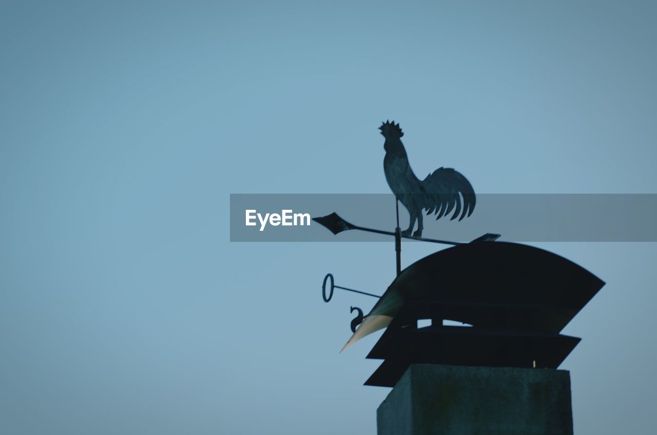 LOW ANGLE VIEW OF BIRDS PERCHING ON WALL