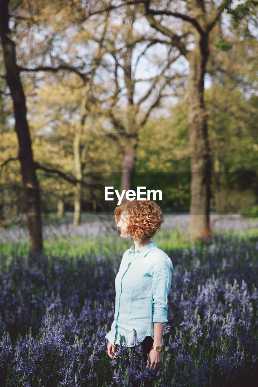 Woman standing amidst purple flowering plants at forest