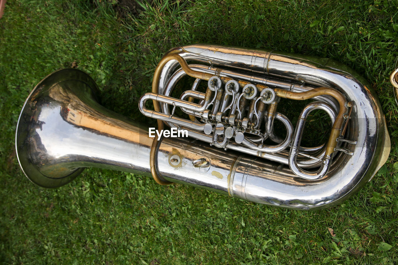 Tuba lying on green grass