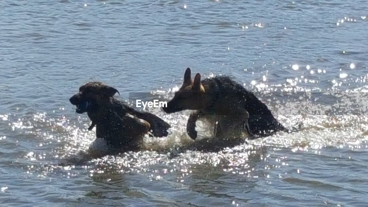 WAVES SPLASHING ON WATER