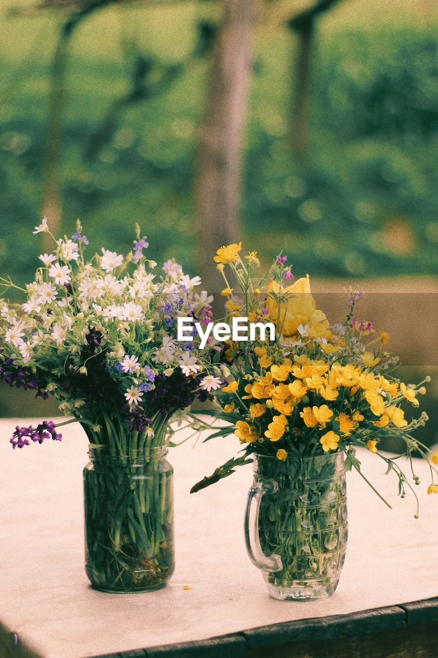 Close-up of flowering plant in vase on table