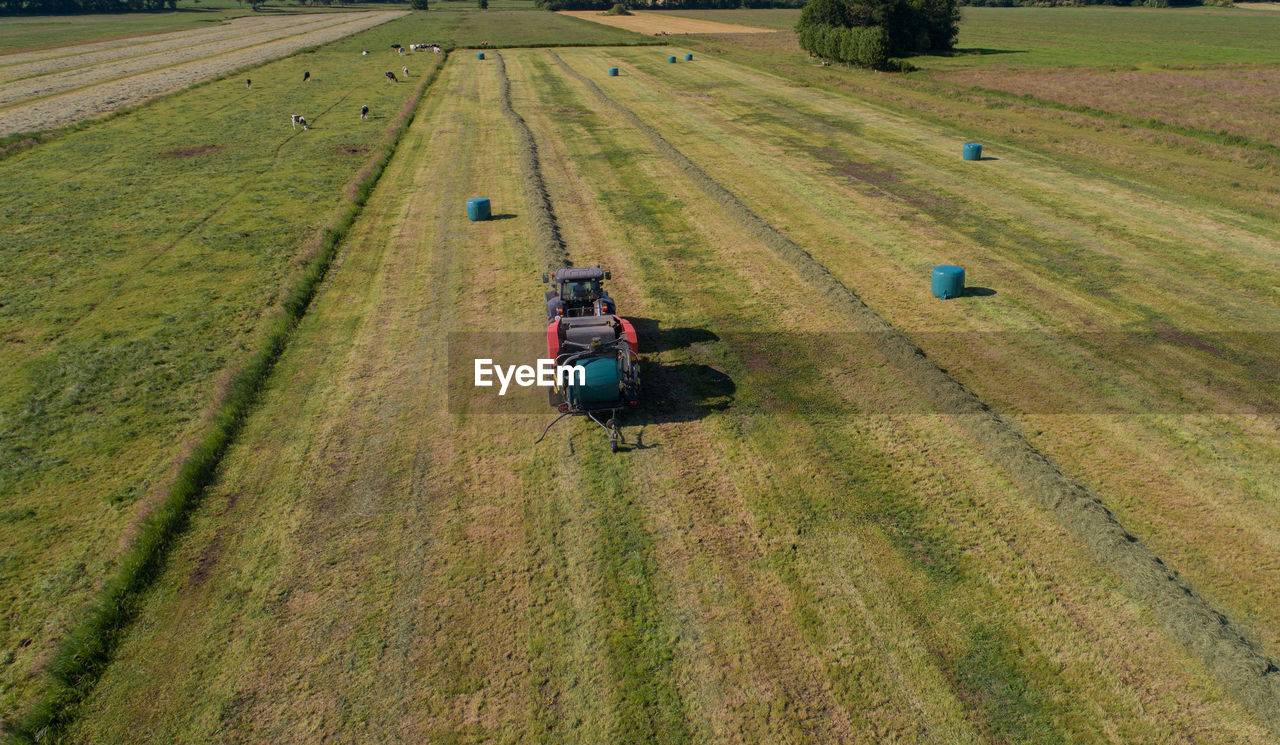 high angle view of people on agricultural field