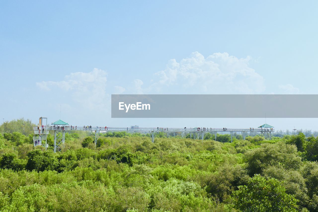 Panoramic shot of trees on landscape against sky