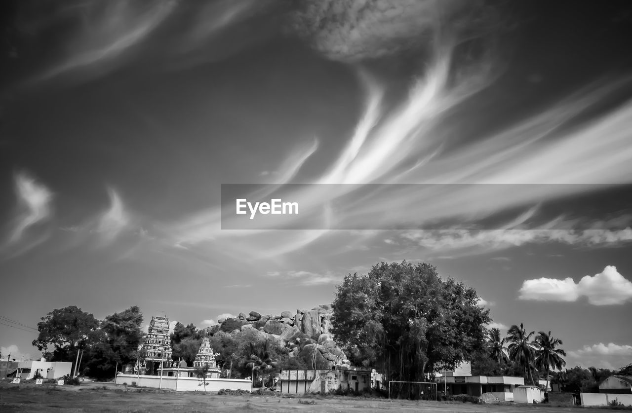 TREES BY BUILDINGS AGAINST SKY