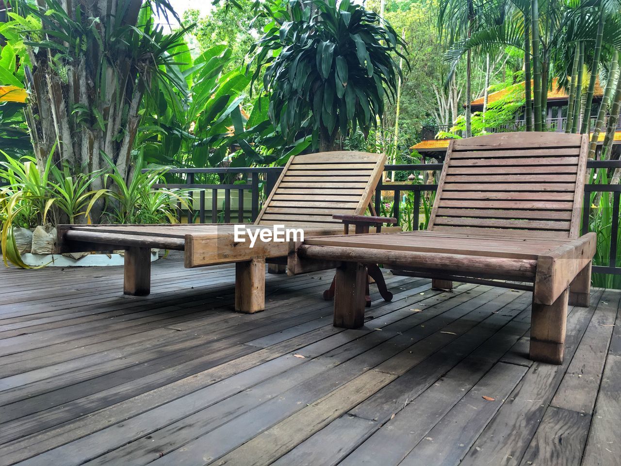 BENCH AND PALM TREES