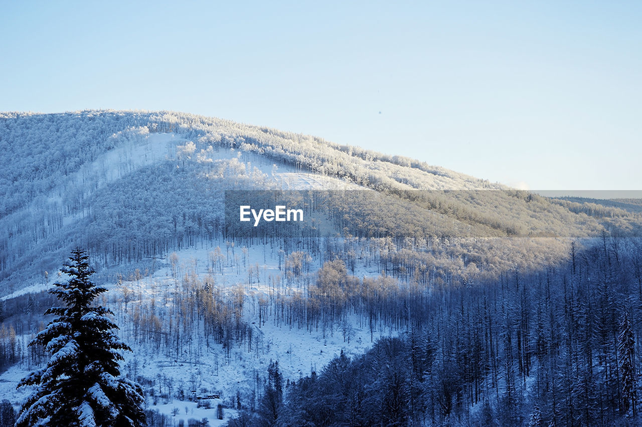 SNOW COVERED LANDSCAPE AGAINST CLEAR SKY