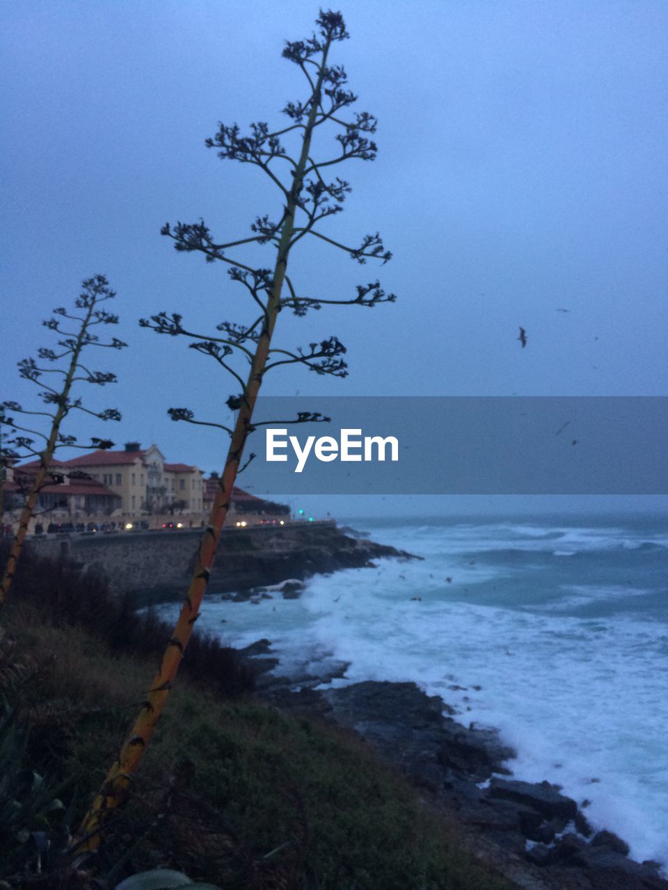 VIEW OF CALM SEA AGAINST SKY