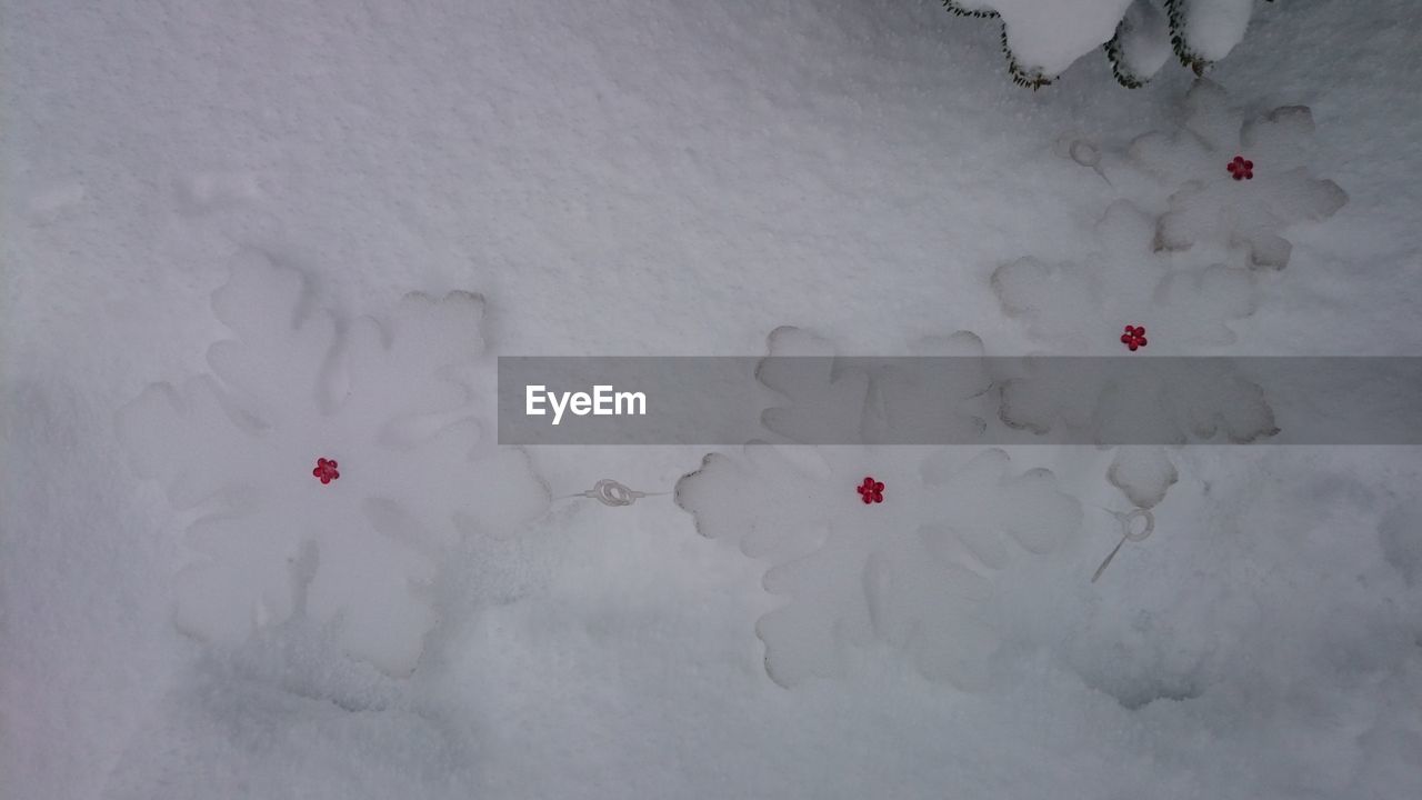 HIGH ANGLE VIEW OF RED ICE ON SNOW