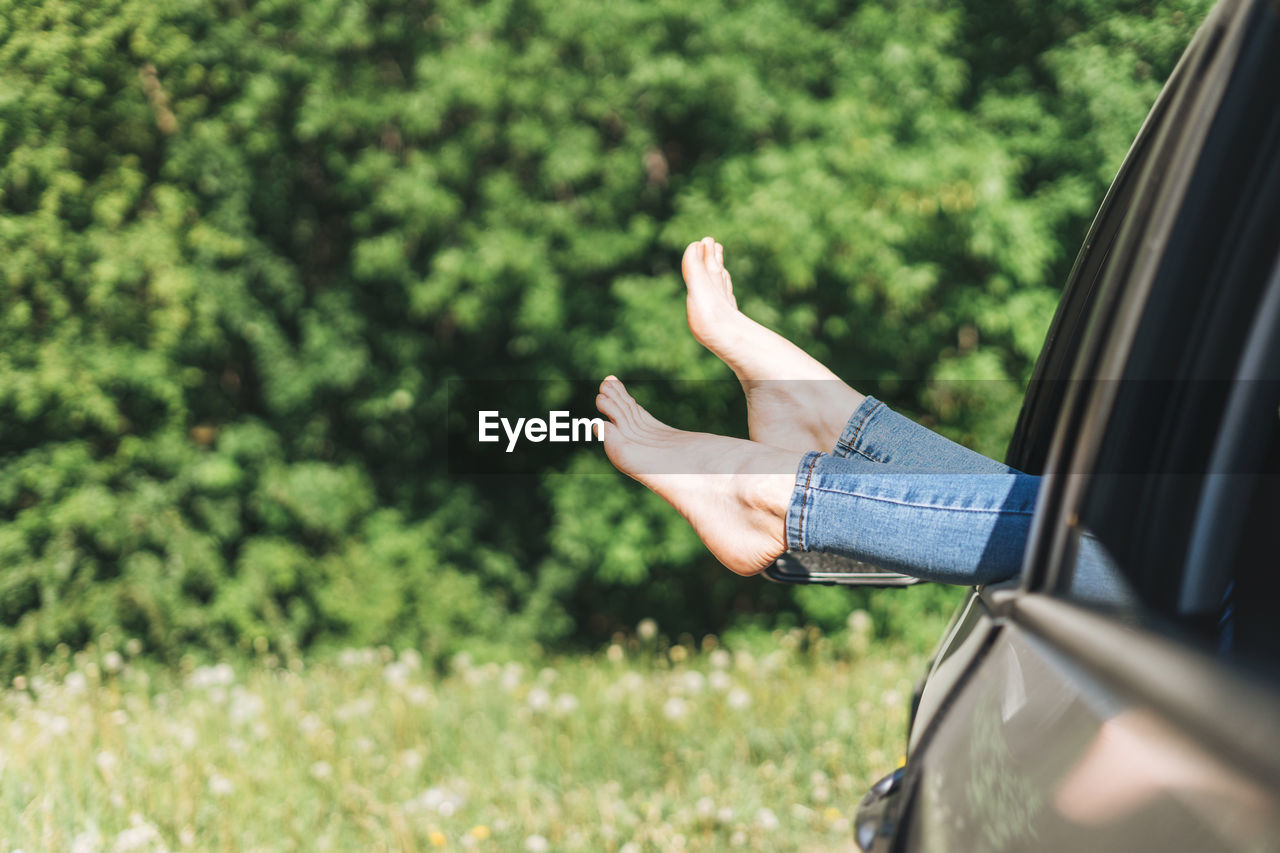 Slim woman legs barefoot in jeans in car window on the background of summer meadow, summertime 