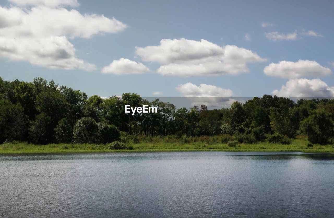 Scenic view of lake by trees against sky