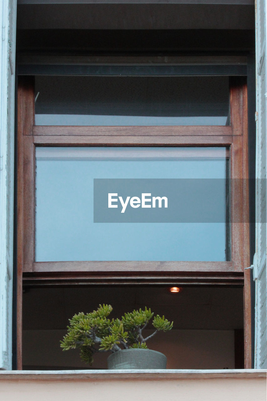 Low angle view of window of building with a potted plant on the sill 