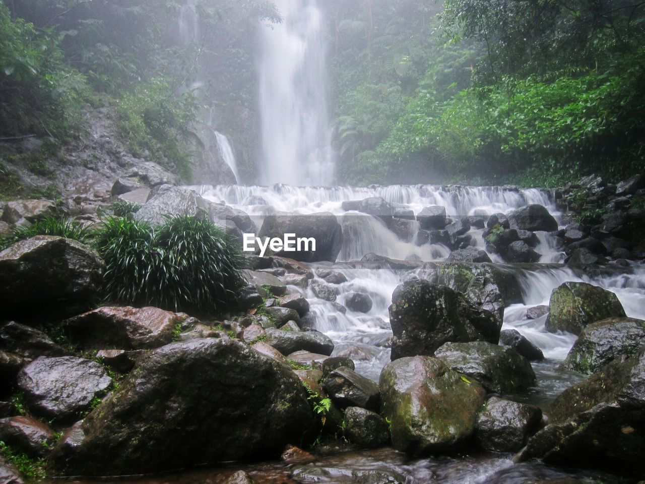 VIEW OF WATERFALL AGAINST TREES