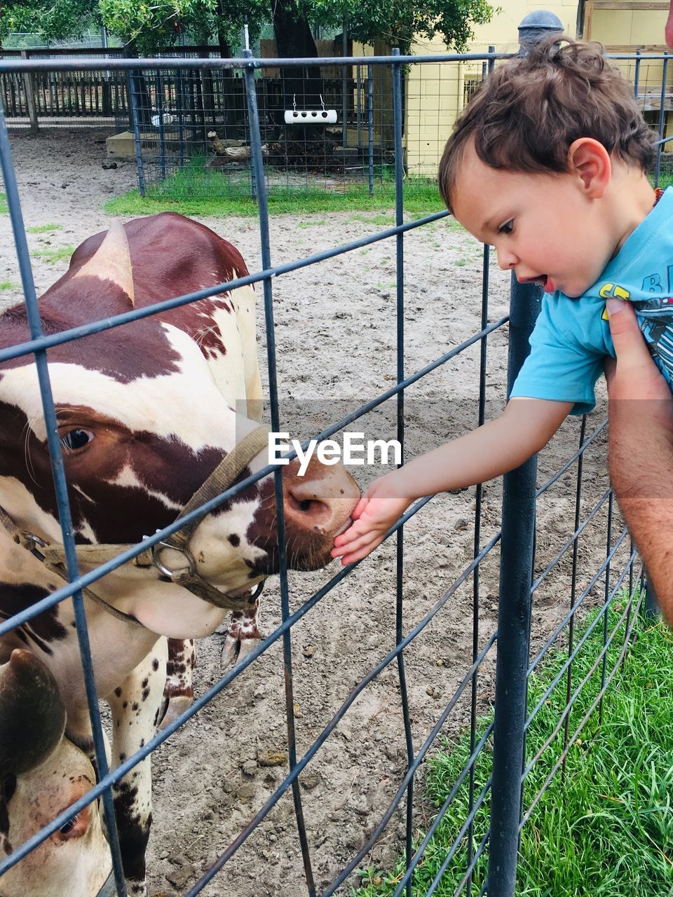 FULL LENGTH OF BABY BOY BY FENCE