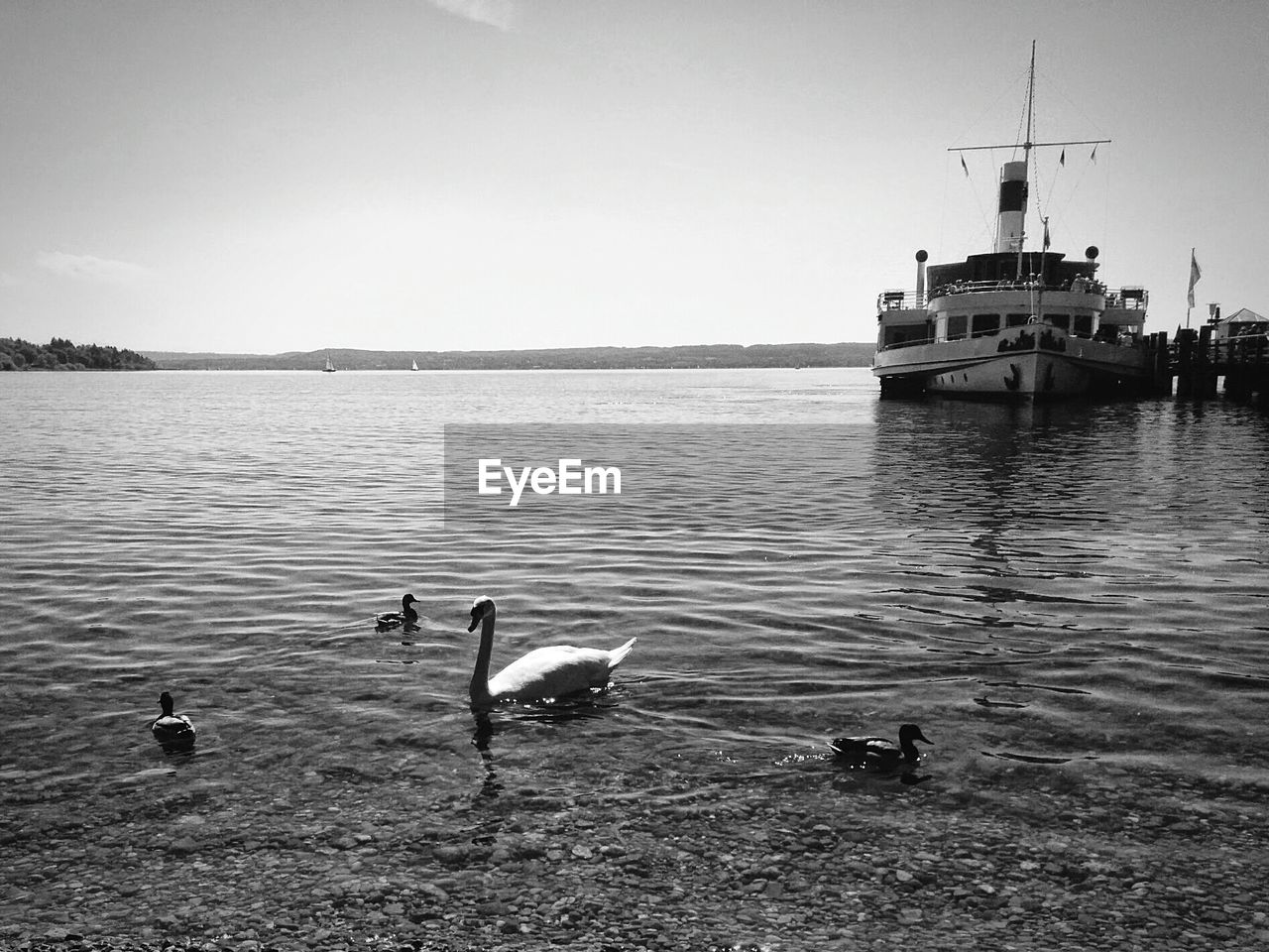 BOATS IN WATER