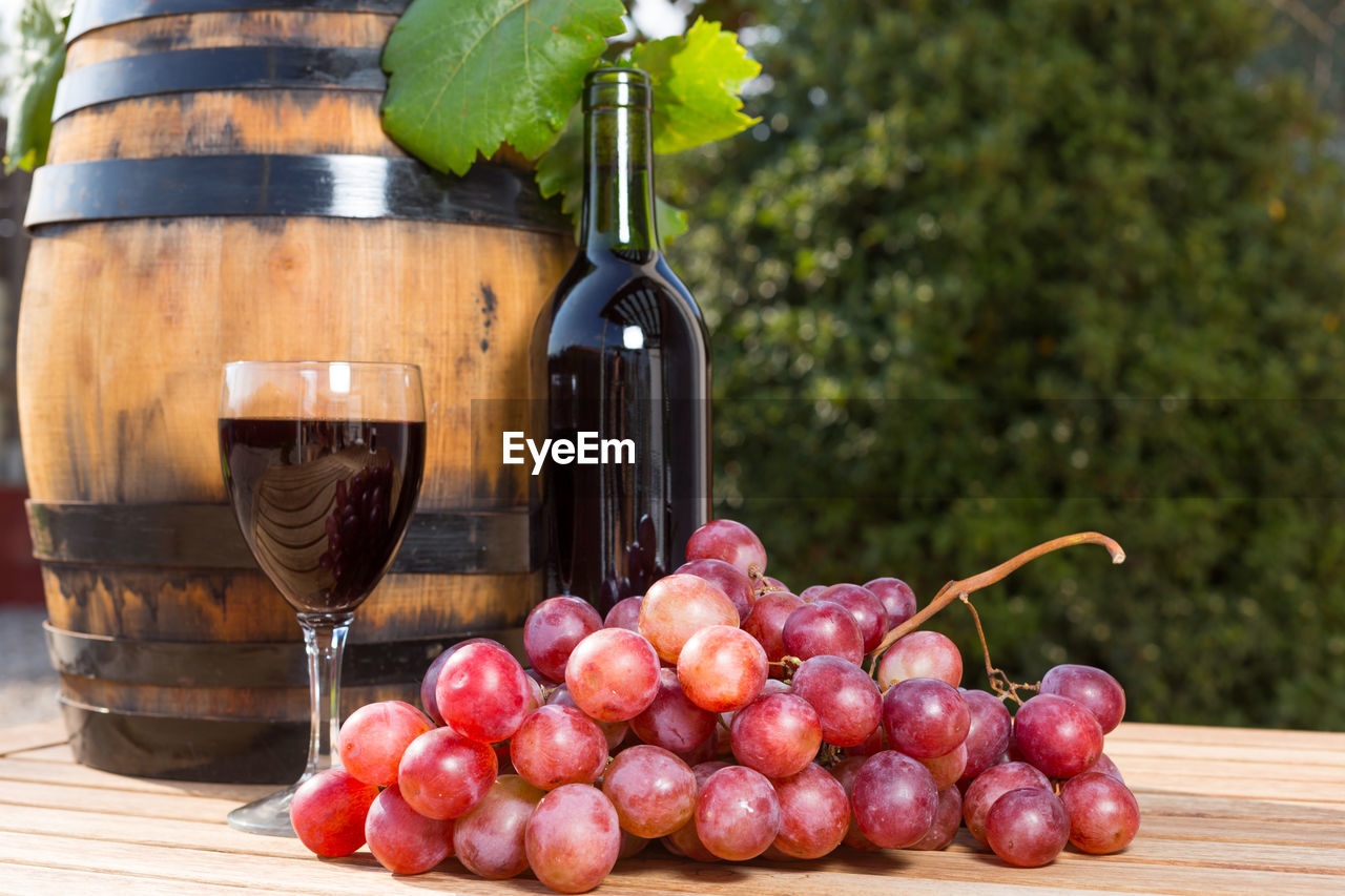 CLOSE-UP OF RED GRAPES IN CONTAINER