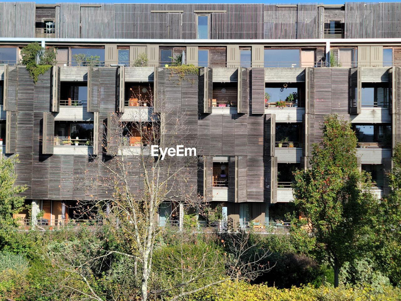architecture, built structure, building exterior, urban area, residential area, neighbourhood, plant, building, day, no people, house, nature, residential district, suburb, outdoors, estate, facade, transport, window, home, sunlight, grass, tree, sky, abandoned