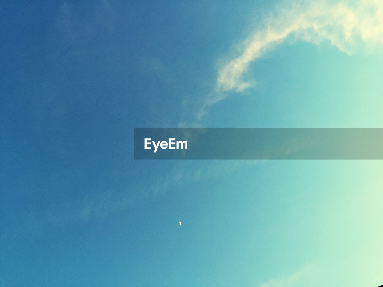 LOW ANGLE VIEW OF TREES AGAINST BLUE SKY