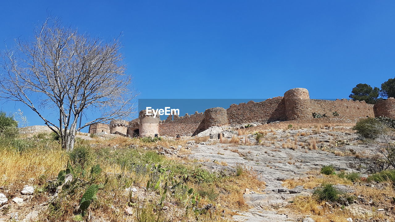 Plants growing on rocks against clear blue sky