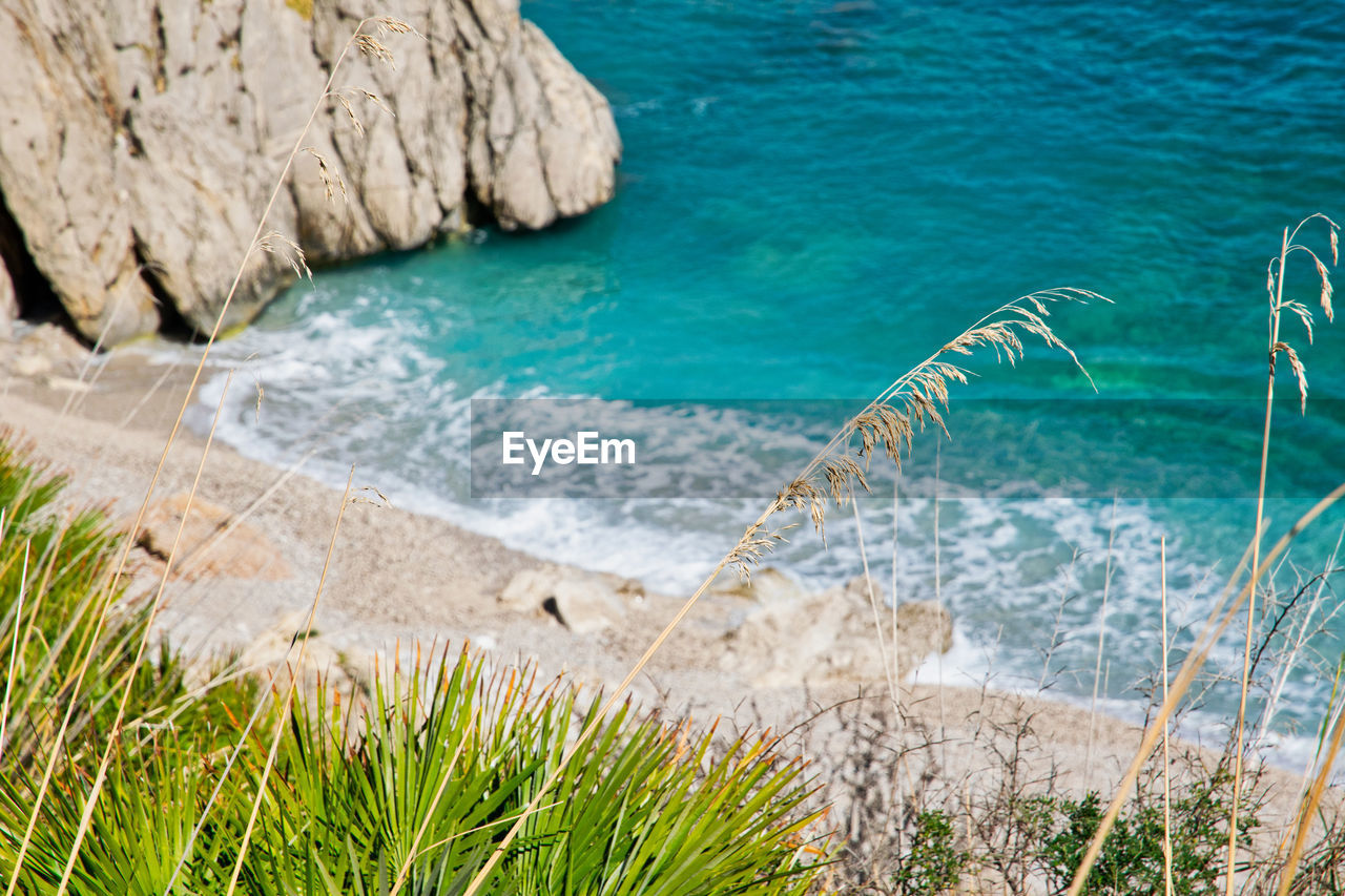 High angle view of rocks on beach