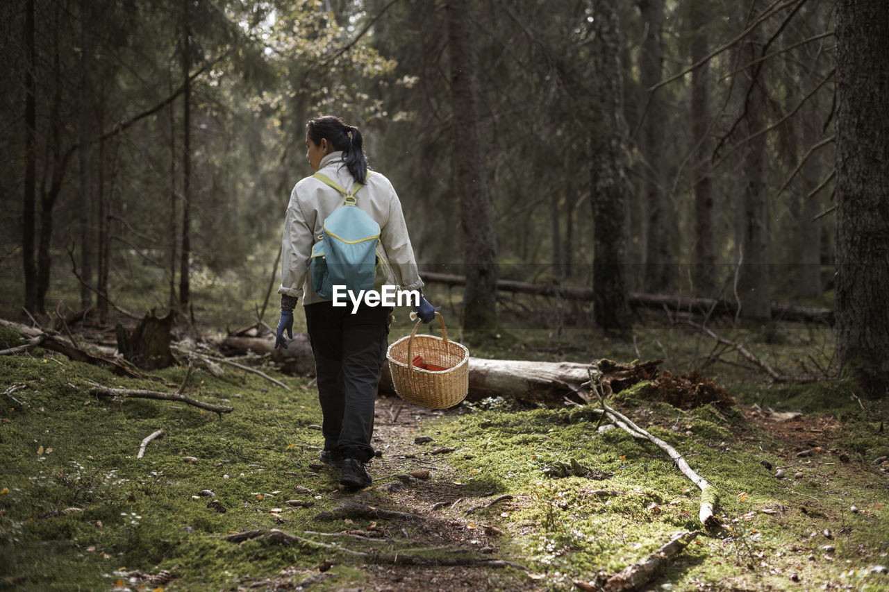 Woman picking mushrooms