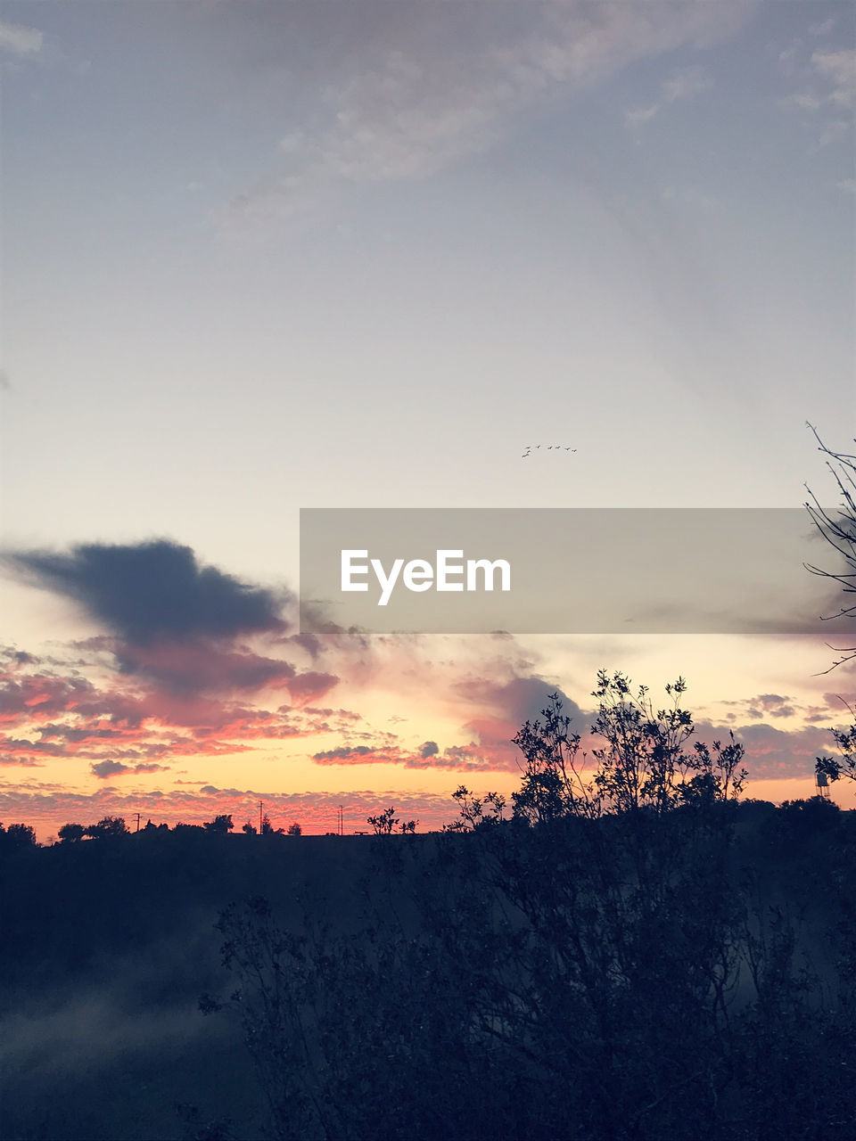 SCENIC VIEW OF SILHOUETTE LANDSCAPE AGAINST ORANGE SKY