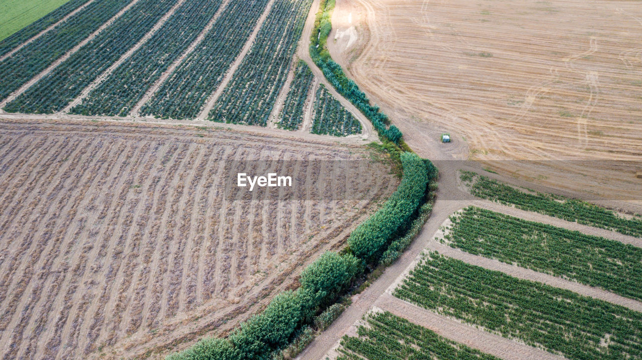 SCENIC VIEW OF FARM