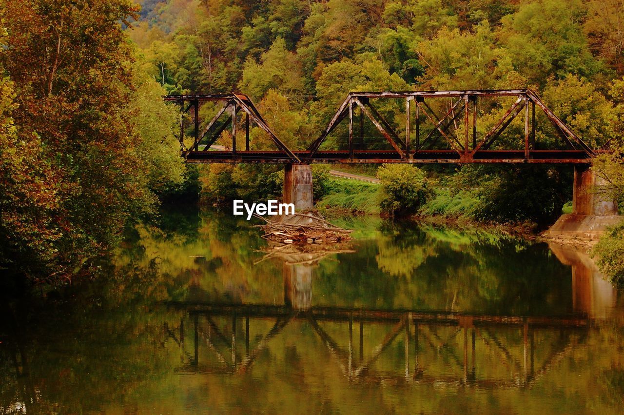 Reflection of trees in forest during autumn