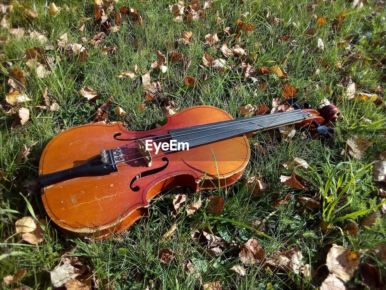 HIGH ANGLE VIEW OF GUITAR ON FIELD BY PLANTS