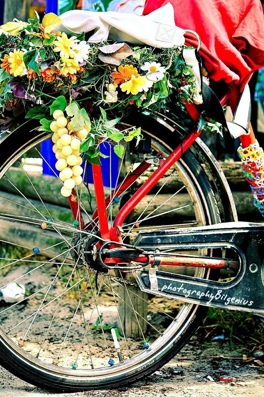 CLOSE-UP OF MULTI COLORED BICYCLE PARKED BY FLOWERS