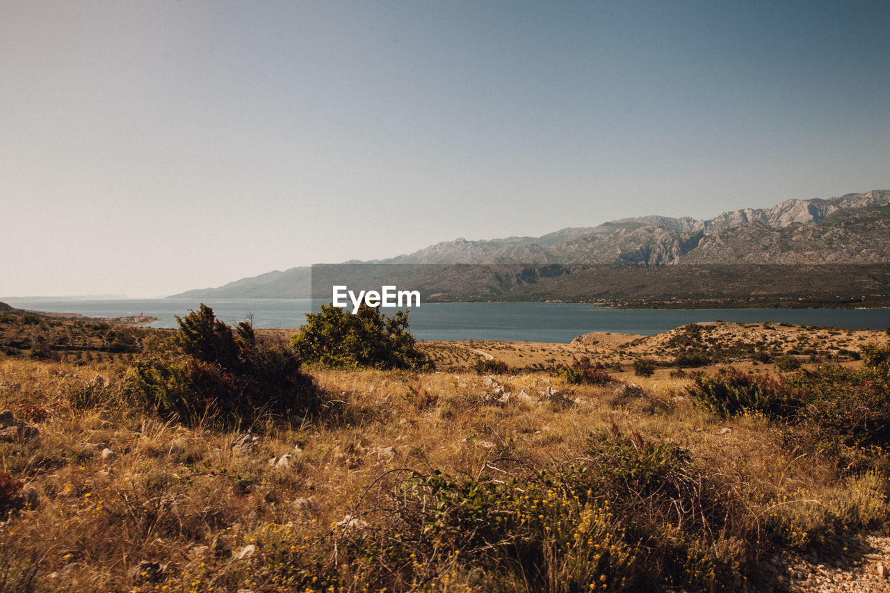 SCENIC VIEW OF LANDSCAPE AGAINST CLEAR SKY